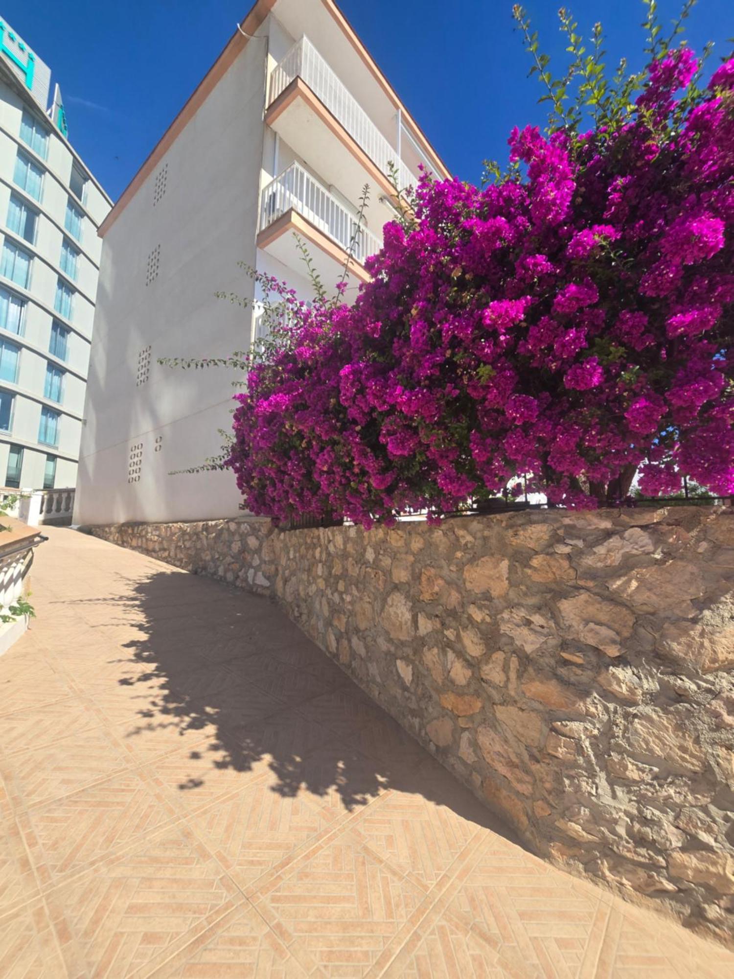 La Cantera Appartement Playa Peñíscola Εξωτερικό φωτογραφία